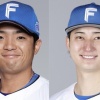 【公示】日ハムが郡司と淺間を登録
