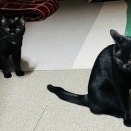 M.Yさんのお当番日記『落差がエゲツない』。