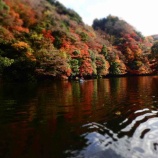 �ص����й��ե��̡��ĥ��� ��11��30����12��1��2�����٤β���