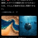 【悲報】イラン、ホルムズ海峡のどこに機雷を設置したかわからなくなってしまう