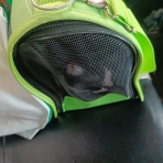 よく死によく落ちよく迷う