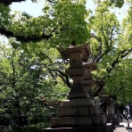 紫月(しずき)日記