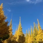 キミノトナリ。