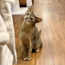 こんなに顔を斜めにされたら遊ばないわけにはいかないなぁ(*´ω`*)