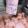 安すぎてごめん！見つけたら買い、ロピアの冷凍むき海老でラクする作り置き