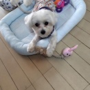 皆んなの幸せ通信💕💕