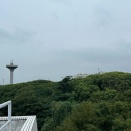 日本とドーハ