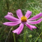 おおにし農園のブログ