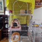 うちのとらまる