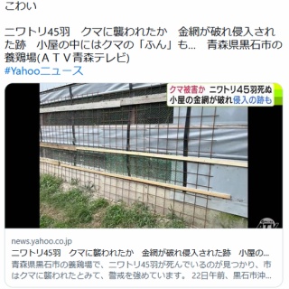 V*I様 4-D/T.K.M Subconscious Unity 小西健司 P V*I様 4-D/T.K.M Subconscious Unity 小西健司 P