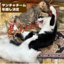 白黒チームお届け