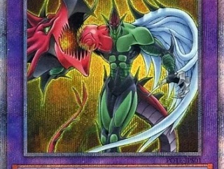 遊戯王　HEROの数が多いと思って調べたら・・・種族の数比較