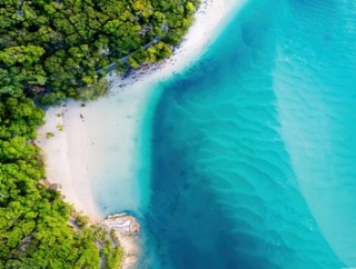 静寂と冷気の中での「鏡開き」2026年初頭の世界を概観する