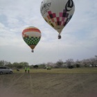 �ؤ��꤬�Ȥ��������ޤ������٤β���
