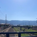 大阪の歴女と歴犬