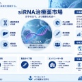  siRNA治療薬市場、2035年90億米ドル到達、年平均成長率15.7%