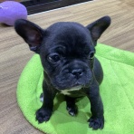 ワンラブ　カインズ広島LECT店のブログ