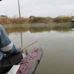 sundayの釣果ブログ