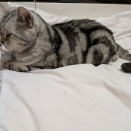 事件が多すぎる