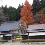 ハイキングさ　あべじゃ