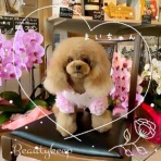 ♪～ないしょ～♪