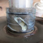 けんじぃ日記（チャンプＲＳと初期型ガンマと育児の記録）