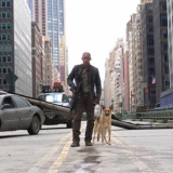 ある日、突然、自分以外の人間が消えて、地球上で一人ぼっちになったら