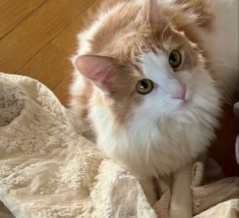 誰も遊び相手をしてくれないので・・・
