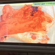 ϡʤǤ