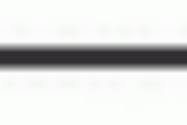 日本は変わるぜよ