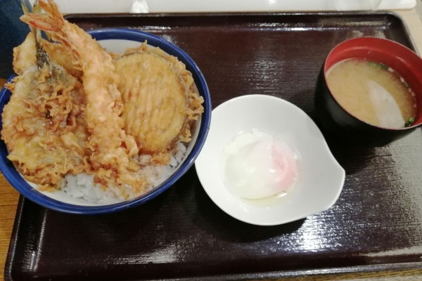 よもやまダイエットブログ3 丼もの 牛丼 カツ丼 豚丼 天丼