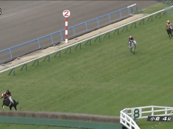 【中山グランドJ】障害転向2戦2勝圧勝のホウオウプロサンゲ　ネット競馬予想単勝オッズ5.8倍