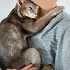 猫たち、Tちゃんをすっかり家族と思ってるような…