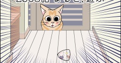 あんこ＆麦2508 まると、遊ぶ