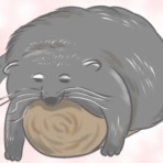毎日全身タイツ日和
