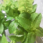 ストレス対処法研究所ブログ