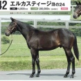 【キャロット】勝手に募集馬見解 その70 エルカスティージョの24