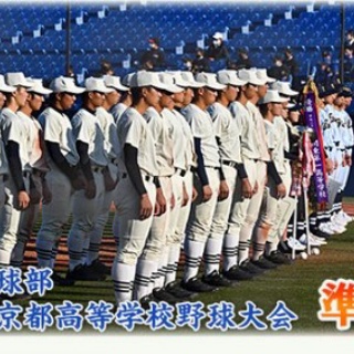 ハムスター速報