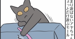 真剣に遊んでいた結果がこう