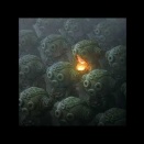 GONDHAWAのアルバムです。新譜です。