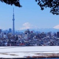 地元民が教える市川市観光の秘策！絶景ルート＆穴場グルメ完全公開
