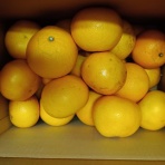 SINの通勤運動,独逸生活/旅行,建築,家🏡