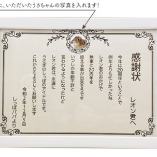 うさぎブログ　うさぎのしっぽ公式ブログ「日々しっぽ」