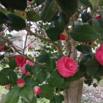 ちょっと幸せ、ずーっと幸せ