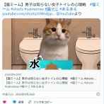 【動画】　女子トイレだけがなぜ混むのか、その理由がついに判明