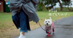 犬連れでマザー牧場へ｜まさかの全員フリーパス持ち!?
