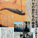 ＂目打ち＂でハゼを捌く‼︎