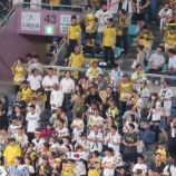 『改めて、プロ野球「応援」について』の画像
