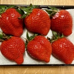 ひろんの愉快な始末書