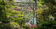 相楽園にツツジを見に行きました！